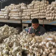 2017年温江大蒜的价格是多少?