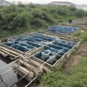 自贡市第一批水产养殖场是否采用了现代化管理手段?