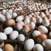 鸡蛋供应量是否充足?