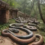 您能告诉我一些关于这里有毒蛇饲养的地方的一些细节吗?
