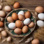 贵公司销售的河津鸡蛋的质量如何呢?