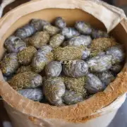 自制饲料是否可以长期保存?