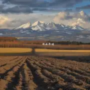 那么虎牙岛上冬季种植冬天豆角是否存在风险和挑战?