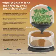 使用何种饲料最有利于鲈鱼生长发育并提高产量?