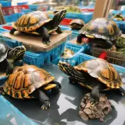 在广州市收购乌龟的价格会随着市场供需量的变化而有所波动吗?