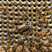 为什么要使用人工培育蜂王技术?