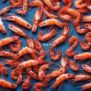 仁宝生物科技股份有限公司的虾饲料在市场上有竞争者吗?