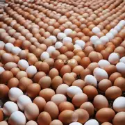 贵公司的河津鸡蛋价格与去年同期相比有无变化?