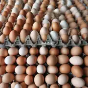 明年的全球鸡蛋价格会受到哪些因素影响而波动呢?