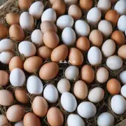 全球经济增长情况如何对未来全球鸡蛋市场产生影响?
