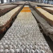 为什么河北沧州仓县鸡蛋的价格会有季节性的变化这种变化对鸡蛋市场的影响又有什么特别之处?