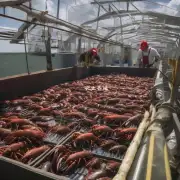 德州龙虾养殖场是如何经营的?