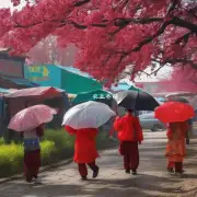 如果去年九月底到今年初这段时间内没有下雨那么今年的新疆产牛膝的价格将如何呢?