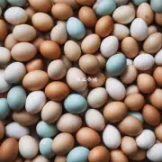 对于每百只淘汰蛋鸡来说一年内平均每只淘汰蛋鸡产鸡蛋的总量是多少?