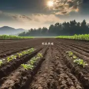 如何选择适合种植的土壤?