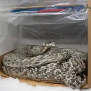 看到养蛇人在冬天使用加热毯给它们保暖时是否还有其他方法可以改善温控?