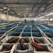 德州龙虾养殖场的发展前景如何?