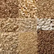 比较一下不同种类野燕麦种植的技术?