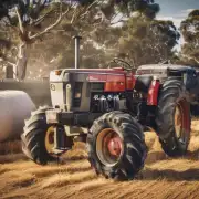 你认为在现代化养殖中澳大利亚应该注重哪些方面来提高产量?