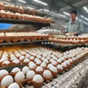 目前江苏省内有哪些城市的价格较为合理且质量较高的鸡蛋?