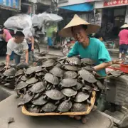 在广东省内哪些城市地区有较多的收购乌龟卖家和买家?