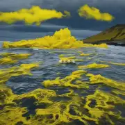 洋地黄是什么?