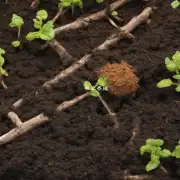 如何正确地施用有机物以增加土壤养分并改善植物根部结构?
