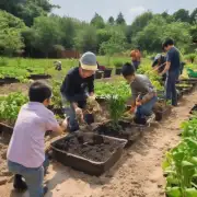 在种植党参时需要注意哪些环境因素?