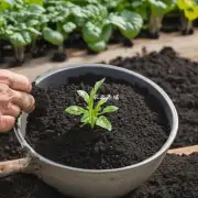 什么是有机肥料?