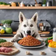 怎样使宠物食品更加美味并吸引狗狗吃它们?