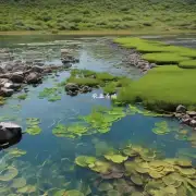 如何通过改变水流的盐度来影响鱼的栖息地?