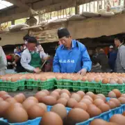 云南今日鸡蛋价格如何影响生产成本?