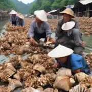 广西田螺养殖对当地文化的影响如何?