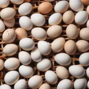 宁夏鸡蛋的来源是什么?