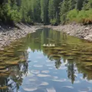 双旺水产如何影响水污染程度?