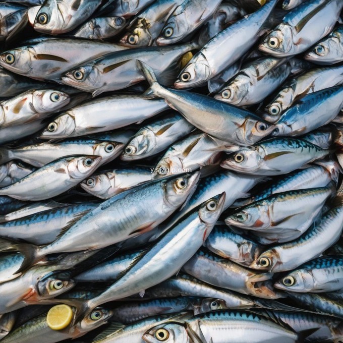 最近市场上甲鱼品种是否有变化?