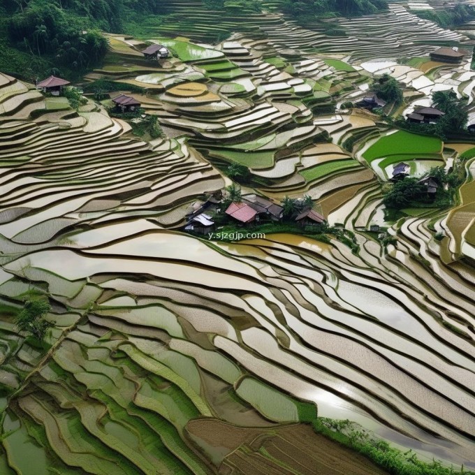 我想知道养泥鳅是否可以在普通稻田中代替使用吗?