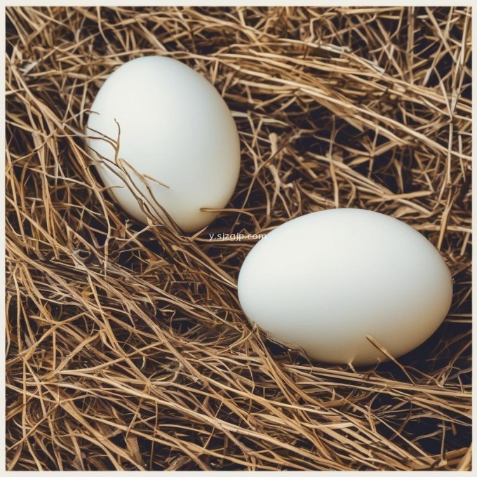 今天禽蛋网鸡蛋价格会怎么样呢?