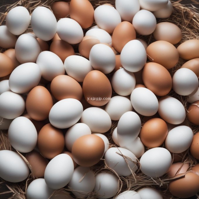 相比上个月鸡蛋的价格有上涨吗?