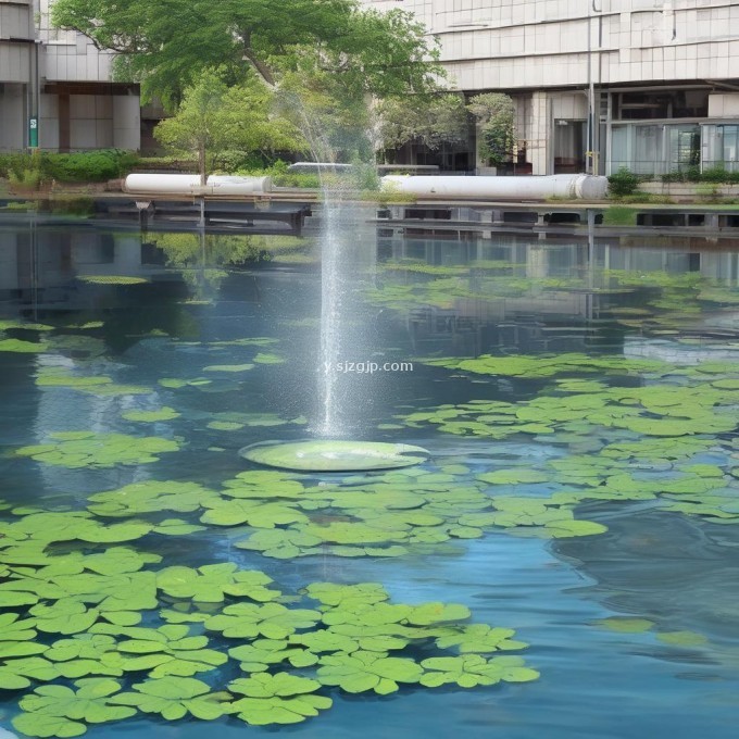 在实践应用中 我们如何保持水上胶白种植系统的水质清洁?