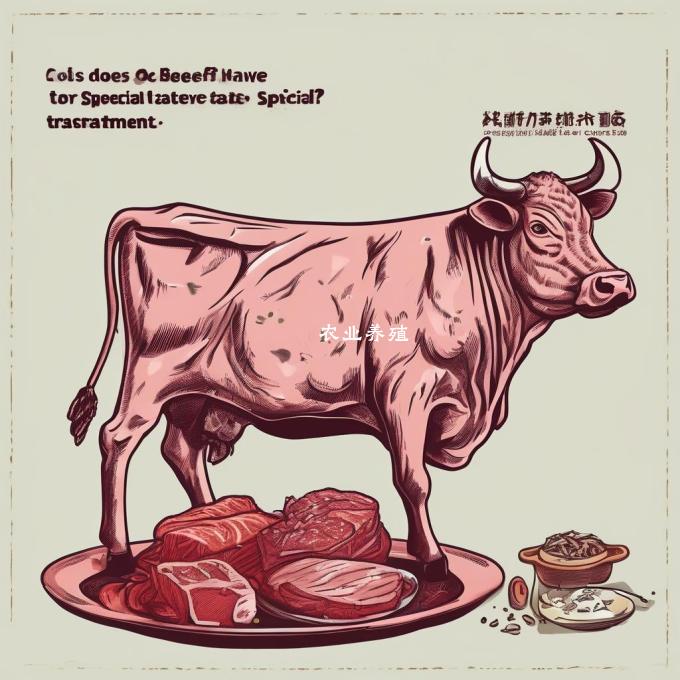 牛肉是否经过特殊处理以保证其口感?