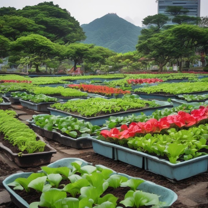 那么你有对台湾冬瓜进行过哪些种植技术的研究吗?