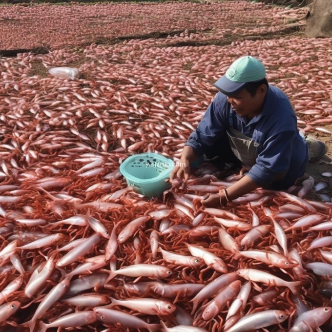 如何在饲养过程中合理控制饵料的质量和数量以最大程度地提高养殖成功率?