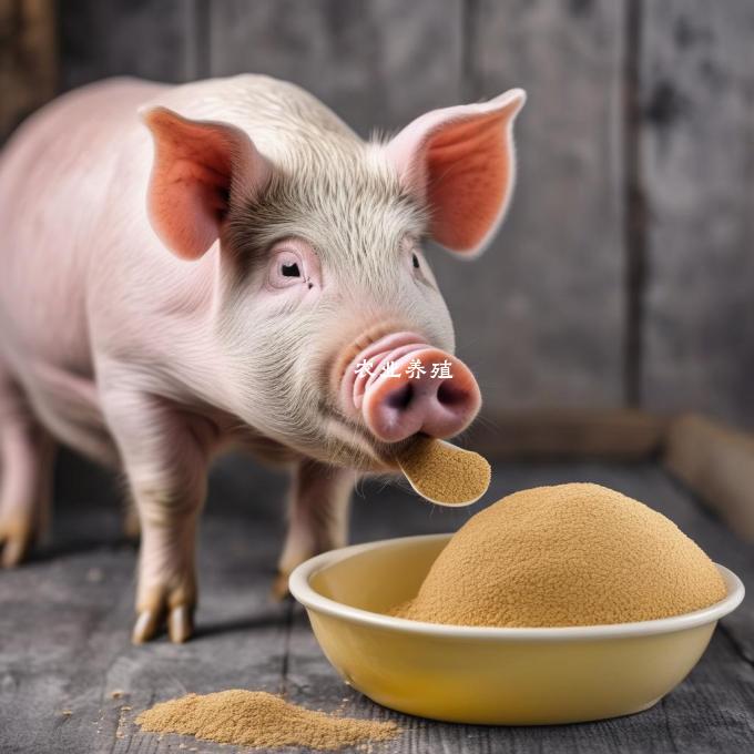 在育肥猪饮食中加入干酵母会产生什么效果?