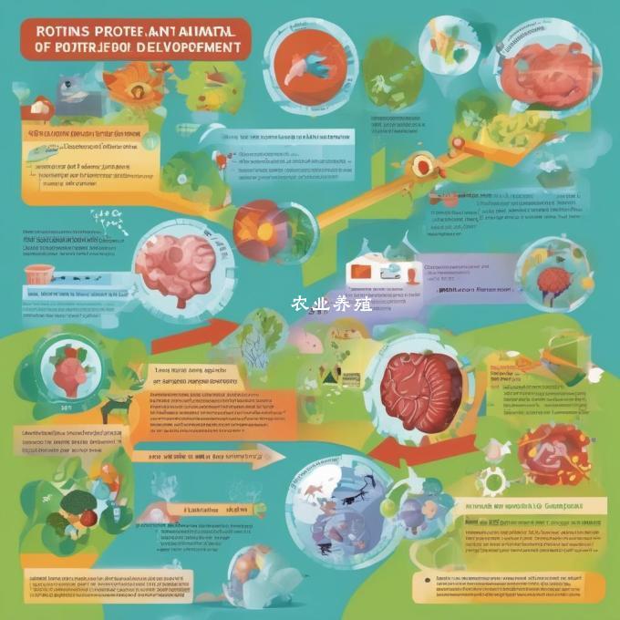 蛋白质对于动物生长和发育有何重要作用?