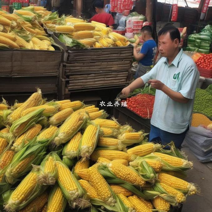 你能为我解释一下最近一段时间内锦州港的玉米市场行情是否较好或较差?