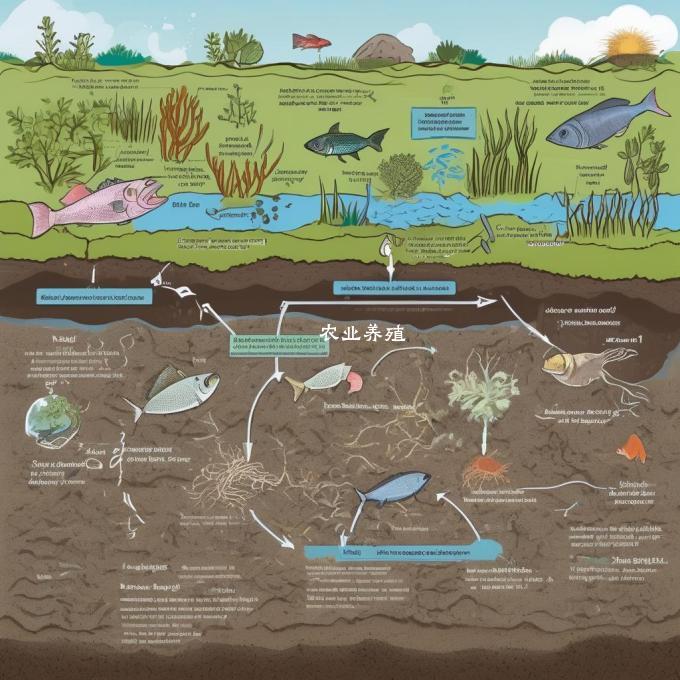 土壤中哪些元素对鱼存活和生长有重要影响?