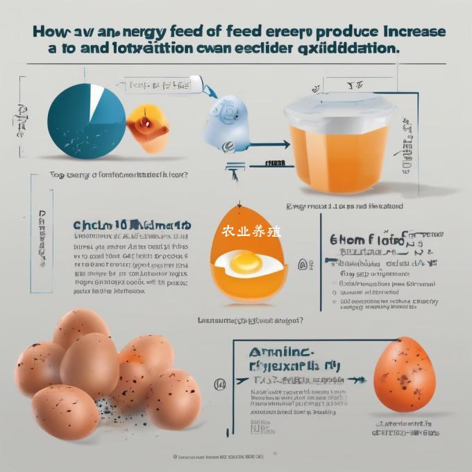 以产蛋鸡能量饲料比例为10如何提高抗氧化能力?